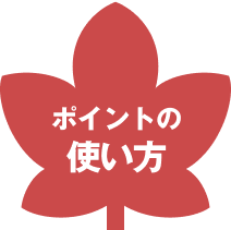 ポイントの使い方