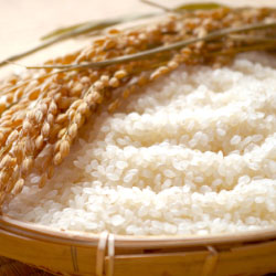 新潟米　食べ比べギフトセット（1.35kg）