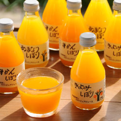 和歌山　柑橘ジュース＆寒天ジュレセット